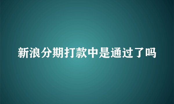 新浪分期打款中是通过了吗