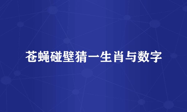 苍蝇碰壁猜一生肖与数字