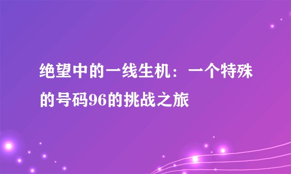 绝望中的一线生机：一个特殊的号码96的挑战之旅