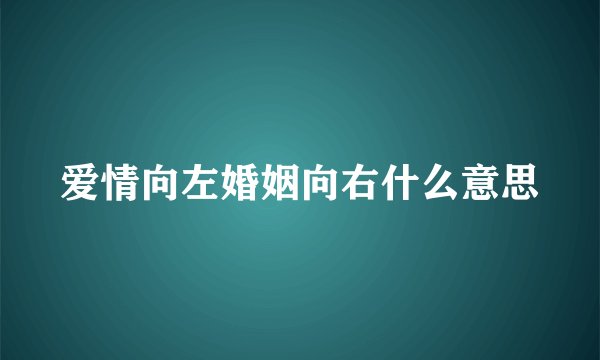 爱情向左婚姻向右什么意思