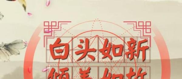 她说：白发如新，倾盖如故。是想表达什么意思