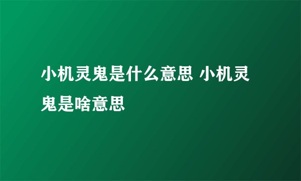 小机灵鬼是什么意思 小机灵鬼是啥意思