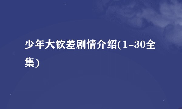 少年大钦差剧情介绍(1-30全集)