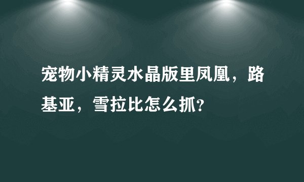 湘乡信息港网站概述
