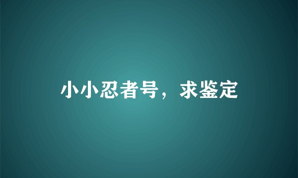 小小忍者号，求鉴定