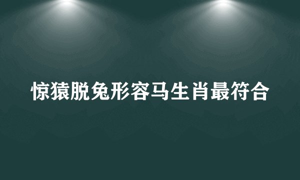 惊猿脱兔形容马生肖最符合