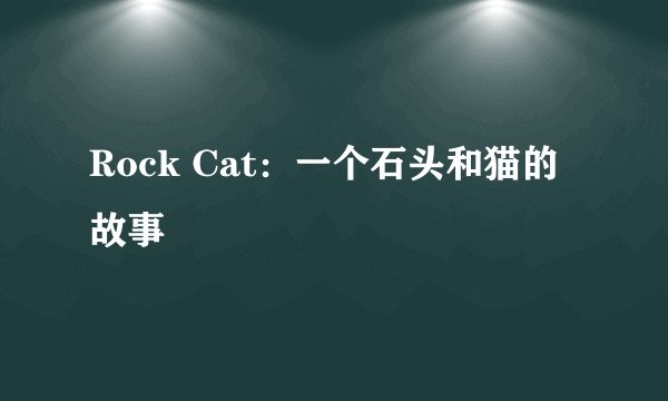 Rock Cat：一个石头和猫的故事