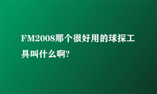 FM2008那个很好用的球探工具叫什么啊?