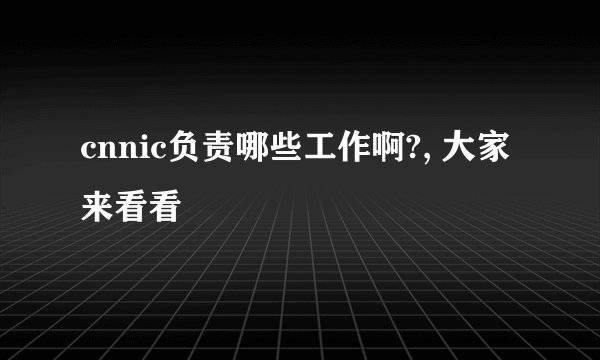 cnnic负责哪些工作啊?, 大家来看看