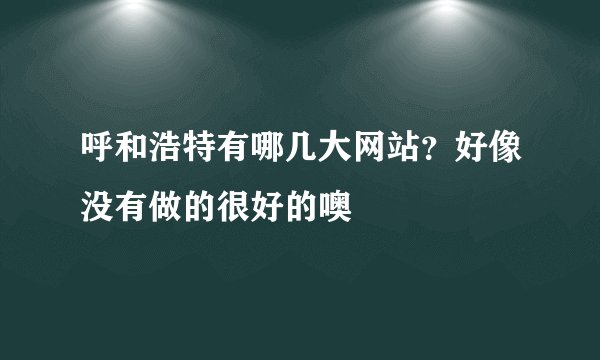 呼和浩特有哪几大网站？好像没有做的很好的噢