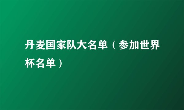 丹麦国家队大名单（参加世界杯名单）