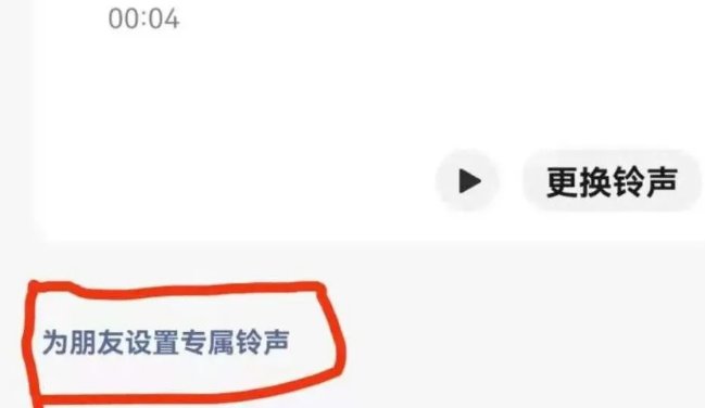 喂我还没接电话呢是什么歌曲的铃声？
