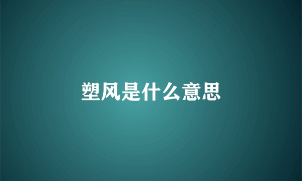 塑风是什么意思