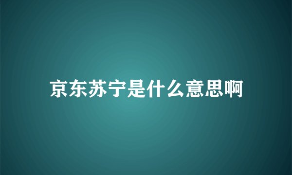 京东苏宁是什么意思啊