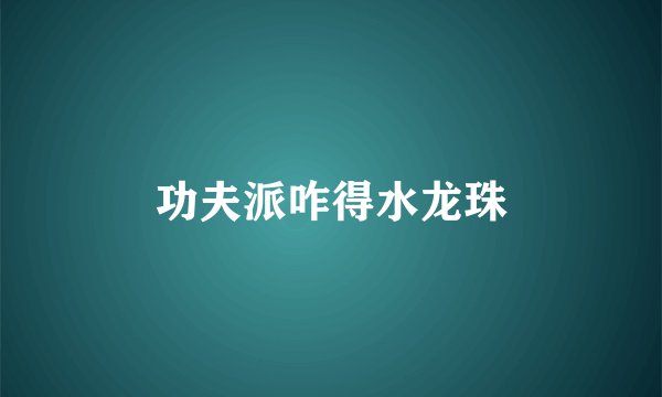 功夫派咋得水龙珠