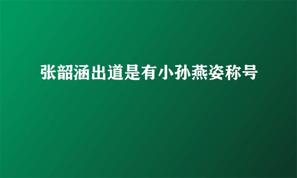 张韶涵出道是有小孙燕姿称号