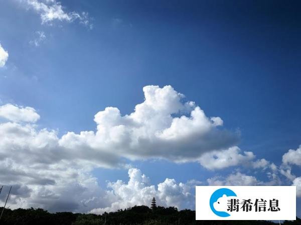 舍南舍北皆春水