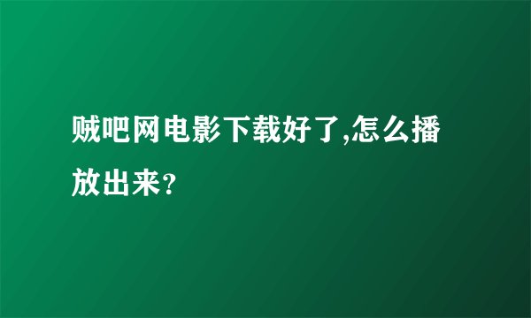 贼吧网电影下载好了,怎么播放出来？