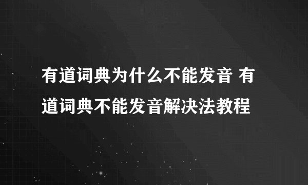 有道词典为什么不能发音 有道词典不能发音解决法教程