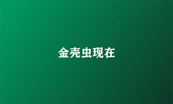 金壳虫现在