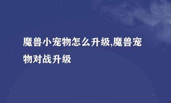 魔兽小宠物怎么升级,魔兽宠物对战升级