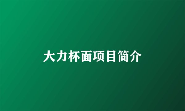 大力杯面项目简介