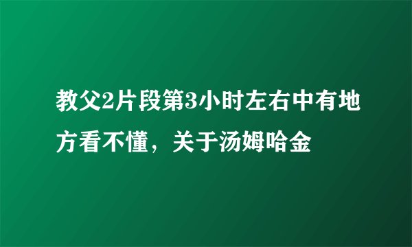 教父2片段第3小时左右中有地方看不懂，关于汤姆哈金