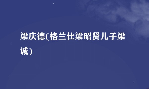 梁庆德(格兰仕梁昭贤儿子梁诚)