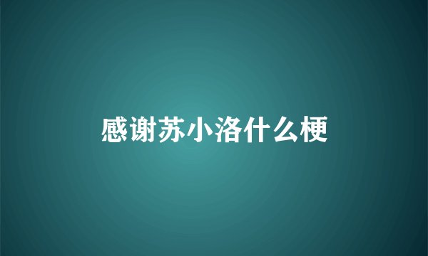 感谢苏小洛什么梗