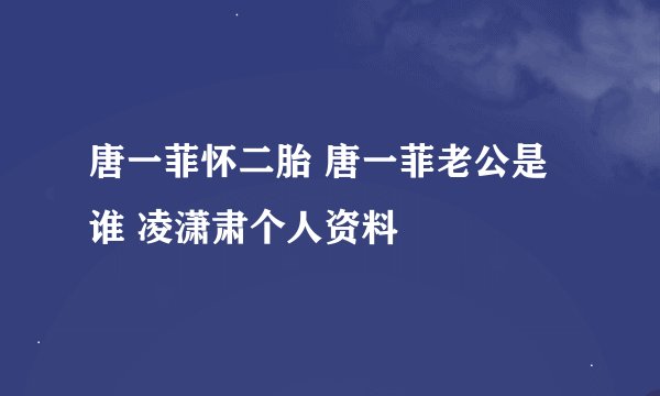 唐一菲怀二胎 唐一菲老公是谁 凌潇肃个人资料