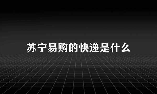 苏宁易购的快递是什么