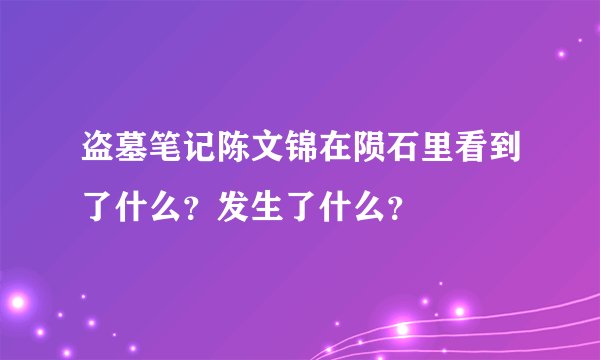 盗墓笔记陈文锦在陨石里看到了什么？发生了什么？