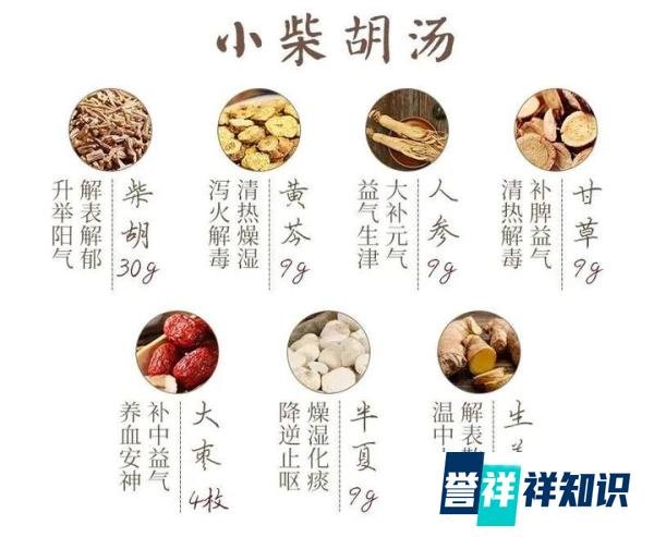 清肺、养肺一妙方——清肺排毒汤。