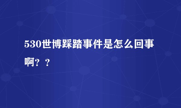 530世博踩踏事件是怎么回事啊？？