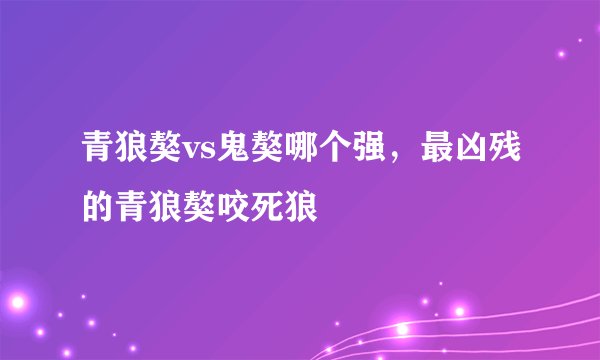 青狼獒vs鬼獒哪个强，最凶残的青狼獒咬死狼