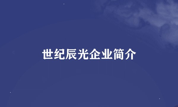 世纪辰光企业简介