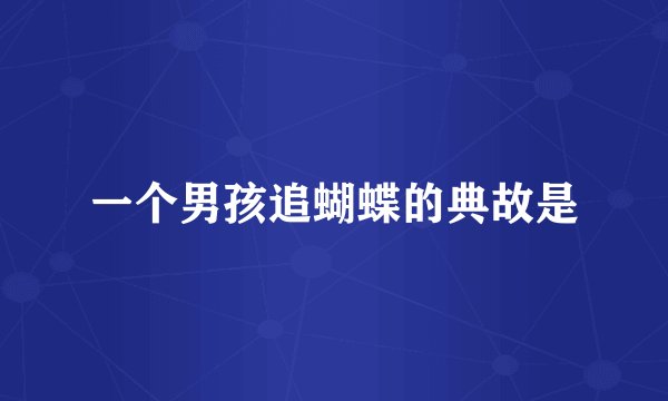 一个男孩追蝴蝶的典故是