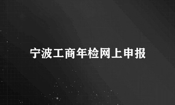 宁波工商年检网上申报