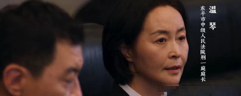 以法之名洪亮老婆结局