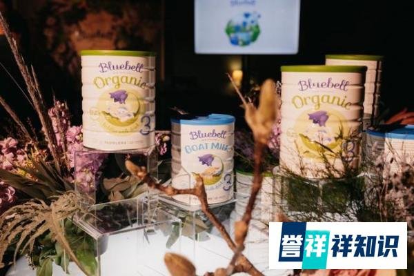 荣获最具潜力奖项 Bluebell宝乐贝儿的成长性源于何处？