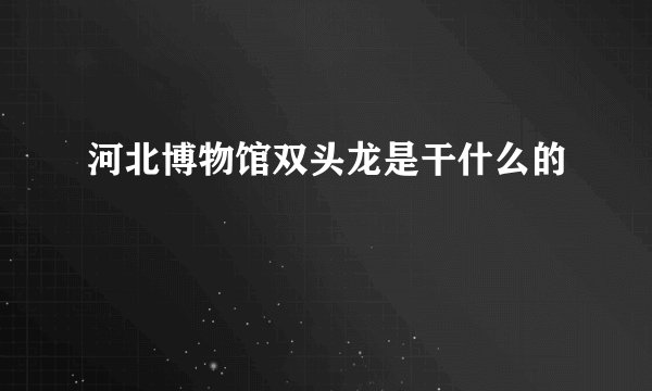河北博物馆双头龙是干什么的
