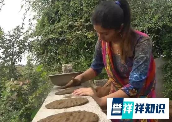 印度“泼粪节”,上万民众互掷牛粪祈求健康