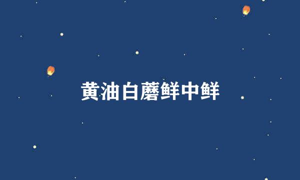 黄油白蘑鲜中鲜