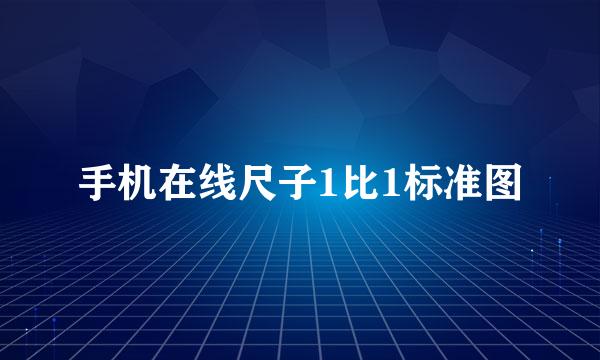 手机在线尺子1比1标准图