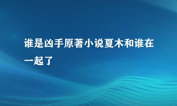 谁是凶手原著小说夏木和谁在一起了
