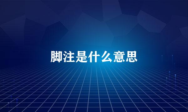 脚注是什么意思