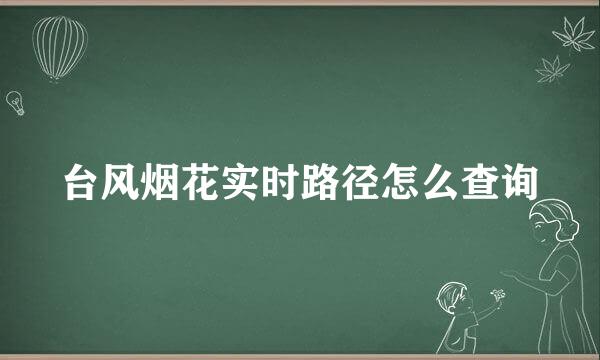 台风烟花实时路径怎么查询