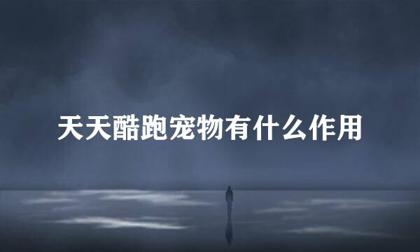 天天酷跑宠物有什么作用