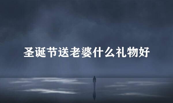 圣诞节送老婆什么礼物好