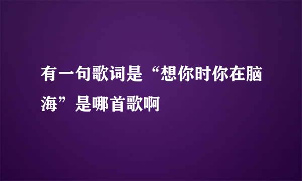 有一句歌词是“想你时你在脑海”是哪首歌啊